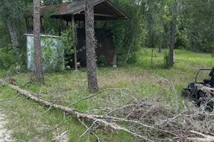 2060 E Mary Lue St, Inverness, FL 34453 - Photo 24