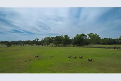 13381 W Hwy 40 (Lot 4), Ocala, FL 34481 - Photo 6