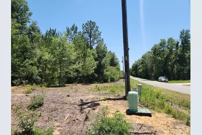 Lot 1 SW Pine Bluffs Road, Dunnellon, FL 34431 - Photo 2