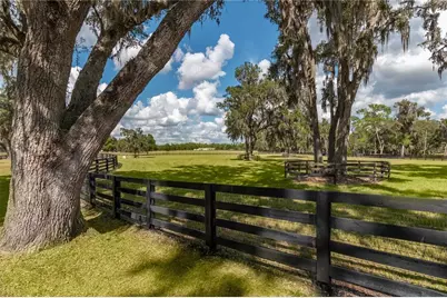 6140 NW 145th Avenue Road, Morriston, FL 32668 - Photo 32