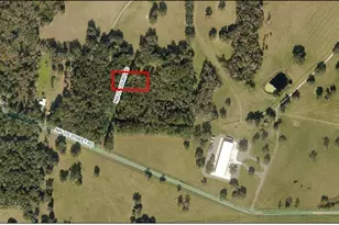 0 NW 71st Ct Rd, Reddick, FL 32686 - Photo 1