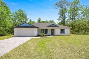 158 Guava Pass, Ocklawaha, FL 32179 - Photo 1