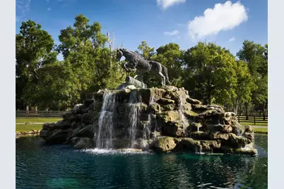 4988 NW 101st Street Road, Ocala, FL 34482 - Photo 2