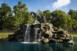 4988 NW 101st St Rd, Ocala, FL 34482 - Photo 2