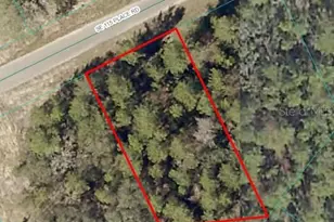 SE 115 Pl Rd, Ocklawaha, FL 32179 - Photo 1