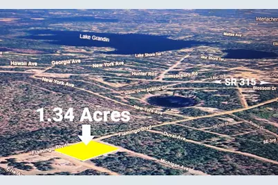 0 Flamingo Boulevard, Interlachen, FL 32148 - Photo 2