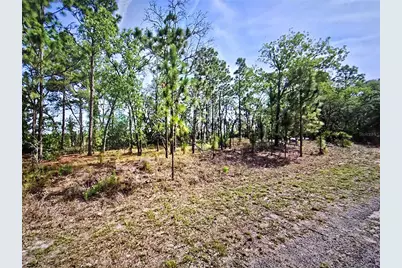 6745 N Darlington Drive, Dunnellon, FL 34434 - Photo 4