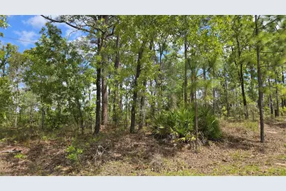 6745 N Darlington Drive, Dunnellon, FL 34434 - Photo 4