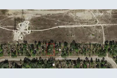 6745 N Darlington Drive, Dunnellon, FL 34434 - Photo 2