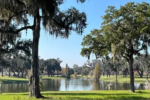 Tbd SE 157th Street Rd, Summerfield, FL 34491 - Photo 1