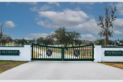 Tbd SE 157th Street Rd, Summerfield, FL 34491 - Photo 12