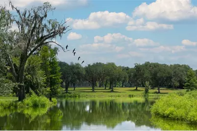 Tbd SE 157th Street Rd, Summerfield, FL 34491 - Photo 2