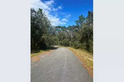 Tbd Locust Loop Place Lot 7, Ocala, FL 34472 - Photo 4