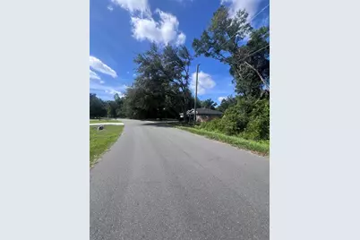 Tbd Locust Course Radial Lot 20, Ocala, FL 34472 - Photo 8