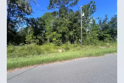 Tbd Locust Course Radial Lot 20, Ocala, FL 34472 - Photo 4