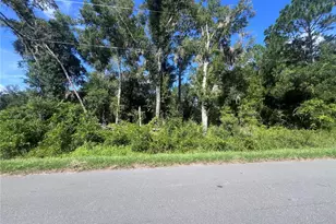 Tbd Locust Course Radial Lot 20, Ocala, FL 34472 - Photo 1