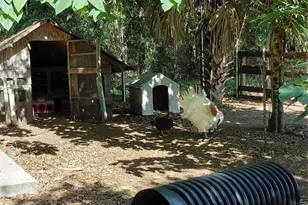 33 Pine Trace Course, Ocala, FL 34472 - Photo 50