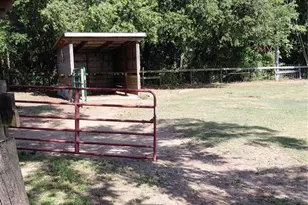 33 Pine Trace Course, Ocala, FL 34472 - Photo 64