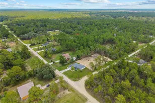 9789 SW 125th Ct Rd, Dunnellon, FL 34432 - Photo 6