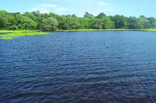 15305 NW Hwy 320, Micanopy, FL 32667 - Photo 70