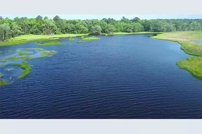 15305 NW Hwy 320, Micanopy, FL 32667 - Photo 6