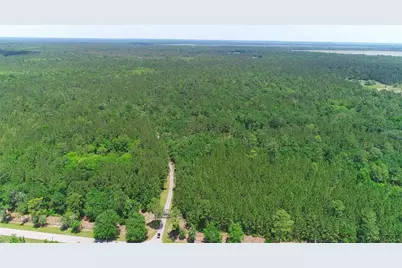 15305 NW Hwy 320, Micanopy, FL 32667 - Photo 4