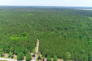 15305 NW Hwy 320, Micanopy, FL 32667 - Photo 4