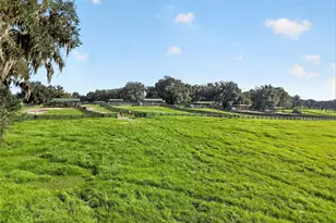 5540 SE 157th Street Rd, Summerfield, FL 34491 - Photo 76