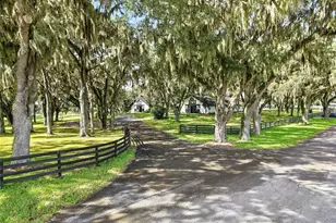 5540 SE 157th Street Rd, Summerfield, FL 34491 - Photo 4