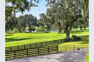 5540 SE 157th Street Road, Summerfield, FL 34491 - Photo 64