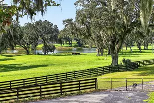 5540 SE 157th Street Rd, Summerfield, FL 34491 - Photo 64