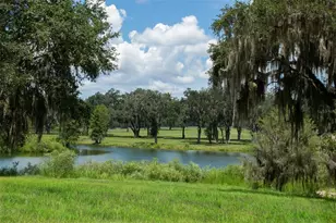 5540 SE 157th Street Rd, Summerfield, FL 34491 - Photo 12