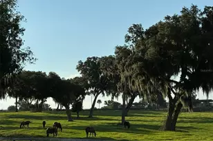 5540 SE 157th Street Rd, Summerfield, FL 34491 - Photo 24