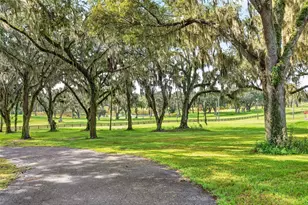 5540 SE 157th Street Rd, Summerfield, FL 34491 - Photo 50