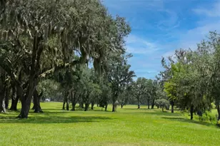 5540 SE 157th Street Rd, Summerfield, FL 34491 - Photo 10