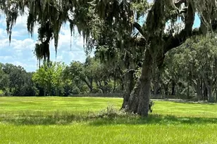 5540 SE 157th Street Rd, Summerfield, FL 34491 - Photo 24