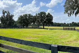 5540 SE 157th Street Rd, Summerfield, FL 34491 - Photo 12