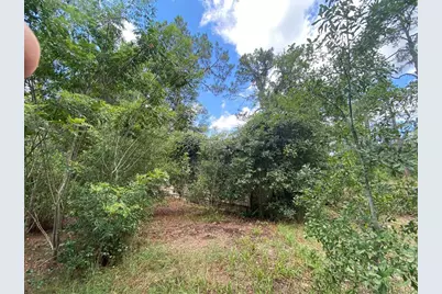 7801 NE 192nd Place, Citra, FL 32113 - Photo 20