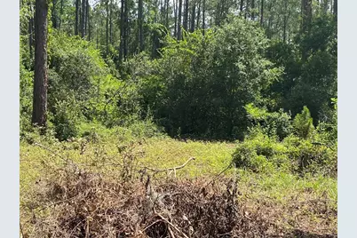 7801 NE 192nd Place, Citra, FL 32113 - Photo 8