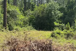 7801 NE 192 Pl, Citra, FL 32113 - Photo 8