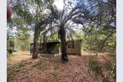 7801 NE 192nd Place, Citra, FL 32113 - Photo 6