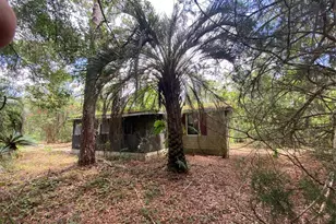 7801 NE 192 Pl, Citra, FL 32113 - Photo 6