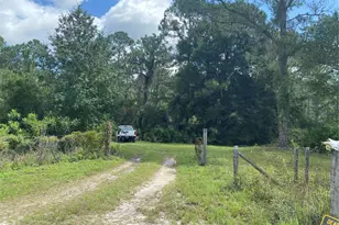 7801 NE 192 Pl, Citra, FL 32113 - Photo 4