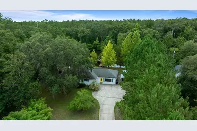 203 NW Hwy 441, Micanopy, FL 32667 - Photo 40
