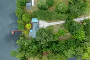 203 NW Hwy 441, Micanopy, FL 32667 - Photo 46