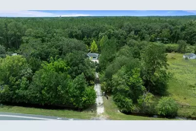 203 NW Hwy 441, Micanopy, FL 32667 - Photo 42