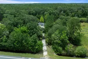 203 NW Hwy 441, Micanopy, FL 32667 - Photo 42