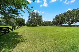 14650 NW 160th Ave, Williston, FL 32696 - Photo 44