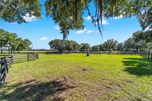 14650 NW 160th Ave, Williston, FL 32696 - Photo 54