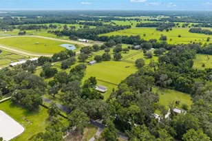 14650 NW 160th Ave, Williston, FL 32696 - Photo 88